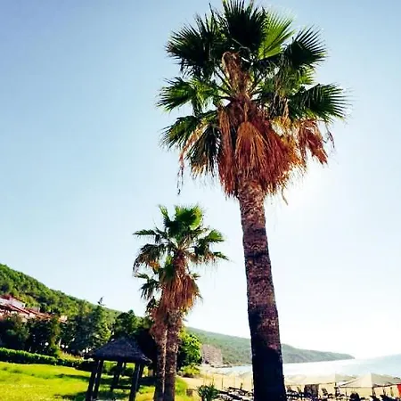 William's - Cute Apartmán Sveti Vlas