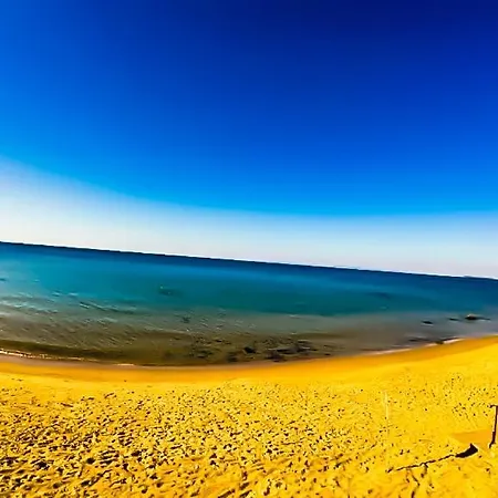 William's - Cute * Sveti Vlas