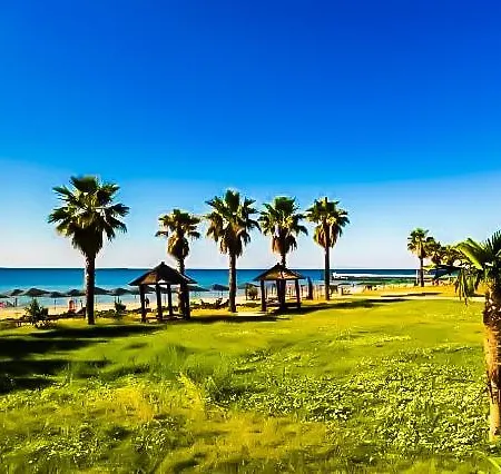 William's - Cute Apartment *