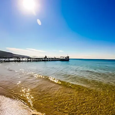 William's - Cute Apartment