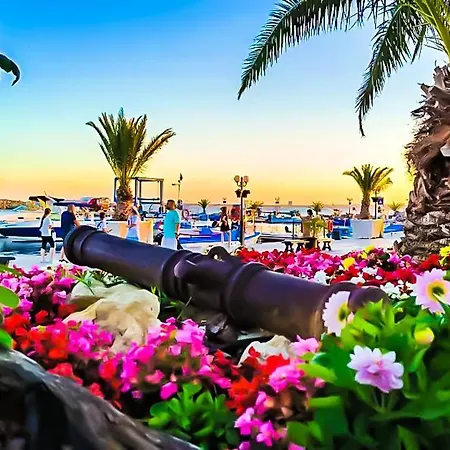 Apartment William's - Cute *